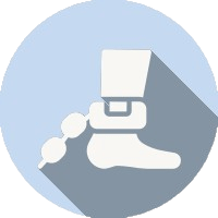 Modern Slavery Interactive Learning